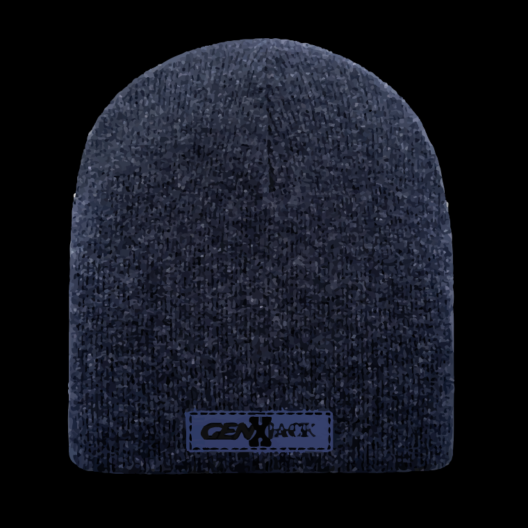 TRADITIONAL UNCUFFED BEANIE denim